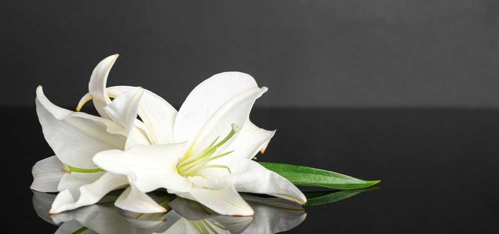 Celebration of Life